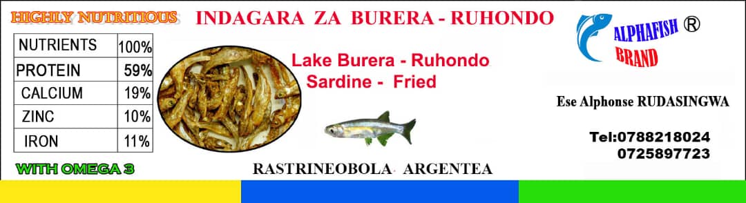 Fried Sardine (Lake Burera/Ruhondo)